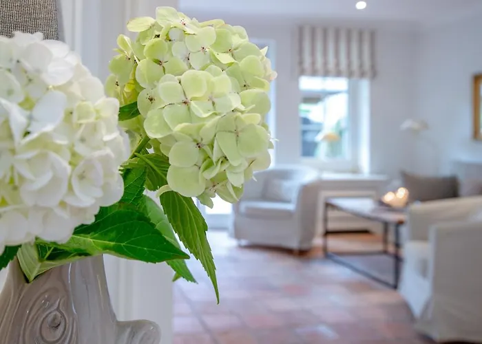 Vakantiehuis Moledyk